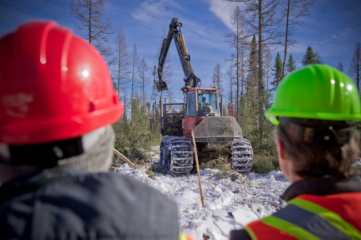 Students in Timmins, Ontario learning about forest sector careers at Forestry Connects training. 